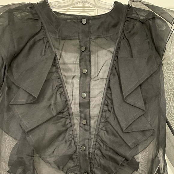 Stunning Rodebjer organza ruffle blouse 💯% silk. - Picture 8 of 16